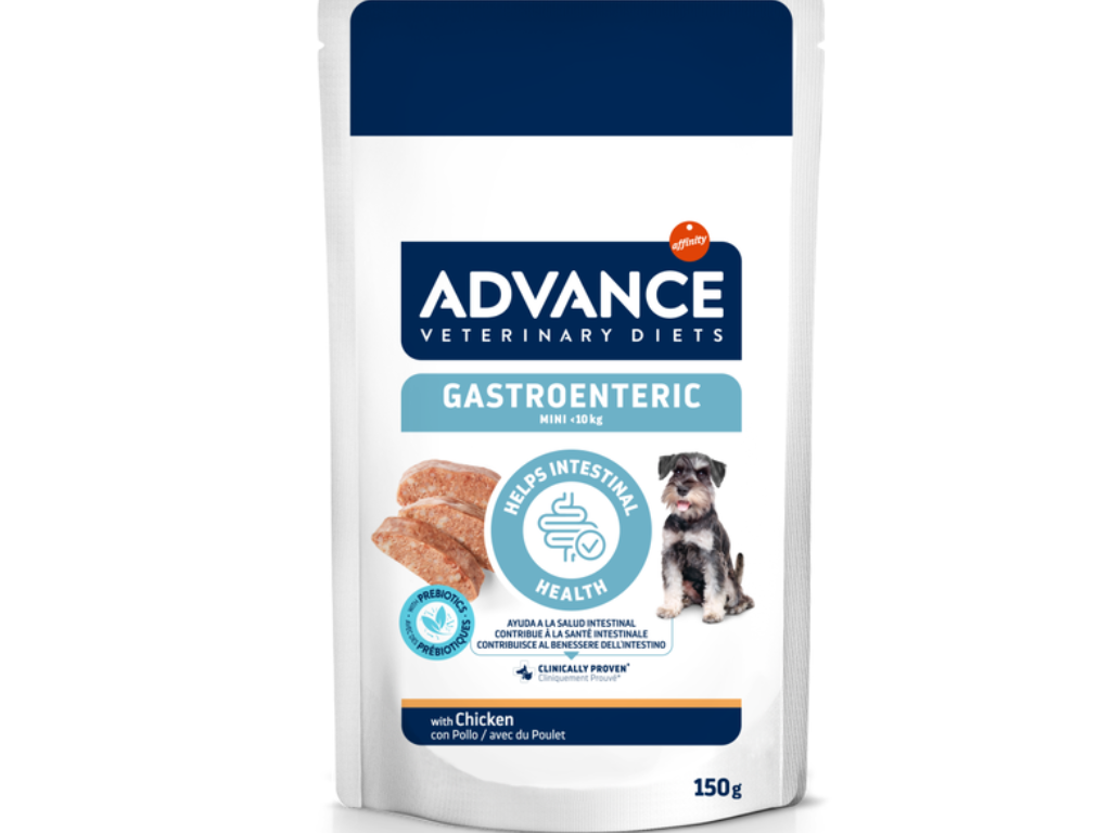 gastro