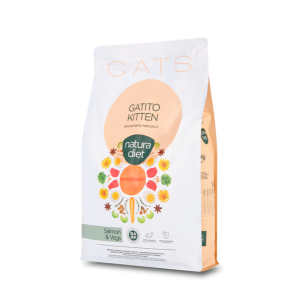Gatito salmon