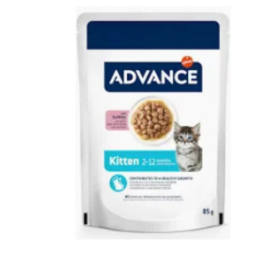 ad kitten pavo