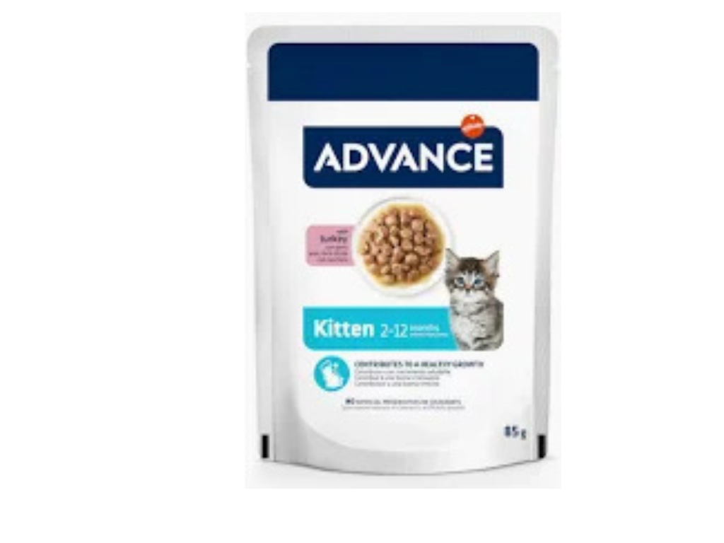 ad kitten pavo ad kitten pavo