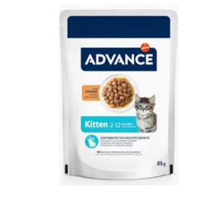 ad kitten pollo