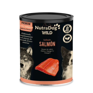salmon