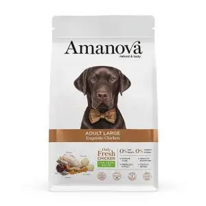 amv adult large exquisite chicken quinoa kg