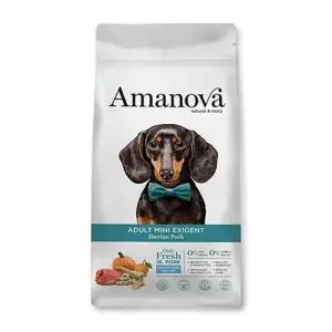 amv adult mini exigent iberian pork calabaza kg