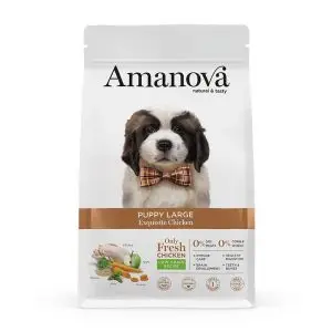 amv puppy large exquisite chicken quinoa kg