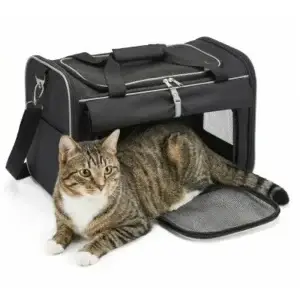 nayeco mochila explorer